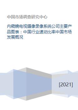 內(nèi)窺鏡電視攝像錄像系統(tǒng)與軟件開(kāi)發(fā) 中國(guó)市場(chǎng)發(fā)展概況及行業(yè)速動(dòng)比率分析