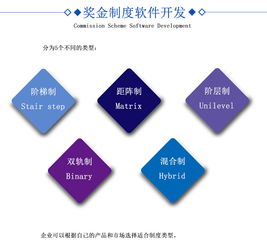 直銷軟件開(kāi)發(fā) 打造高效便捷的營(yíng)銷體系